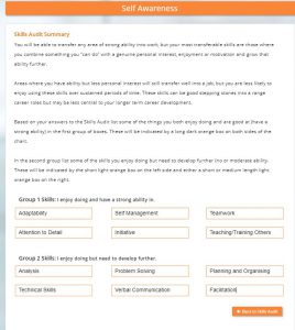 Self Awareness Skills Audit Summary